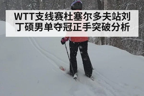 WTT支线赛杜塞尔多夫站刘丁硕男单夺冠正手突破分析