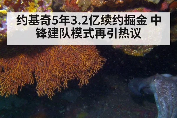 约基奇5年3.2亿续约掘金 中锋建队模式再引热议